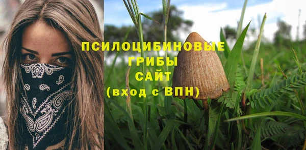 герыч Богородск