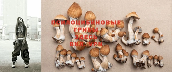 марки lsd Богданович